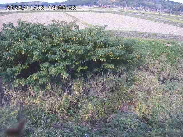 取得できませんでした