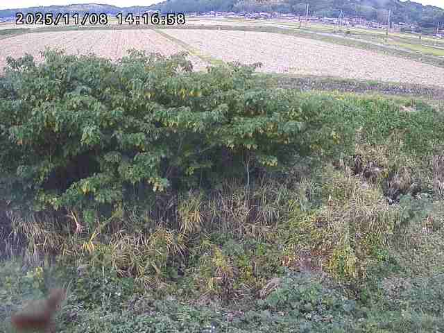 取得できませんでした