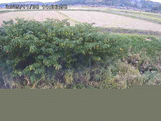 取得できませんでした