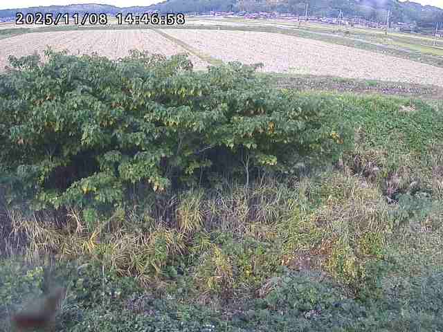 取得できませんでした