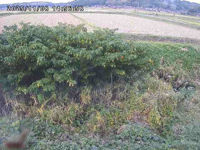 取得できませんでした