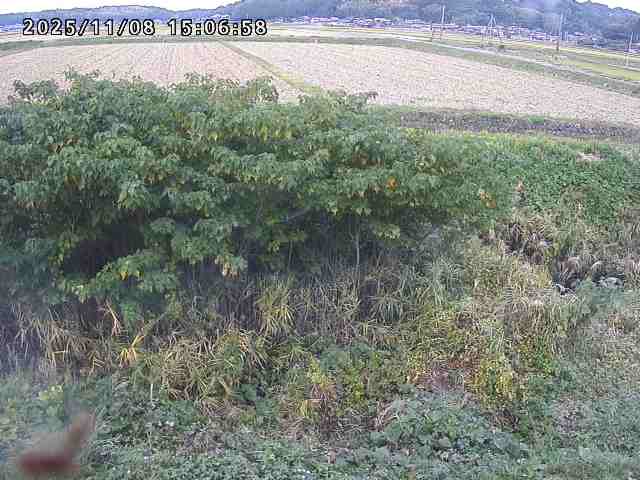 取得できませんでした