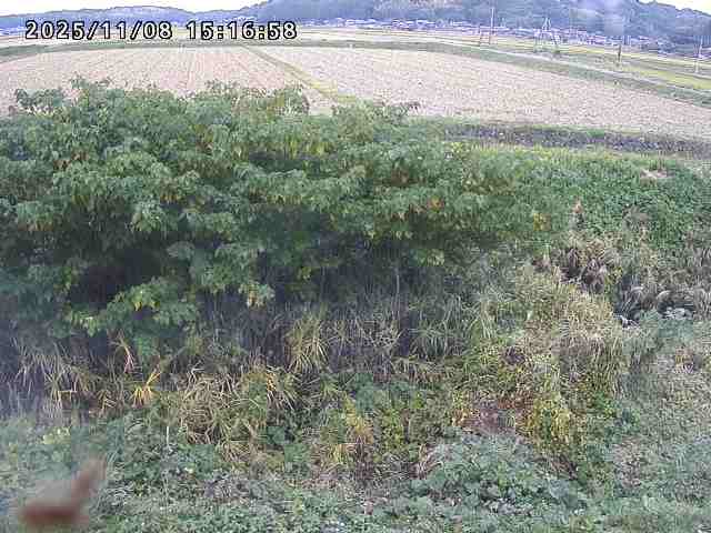 取得できませんでした