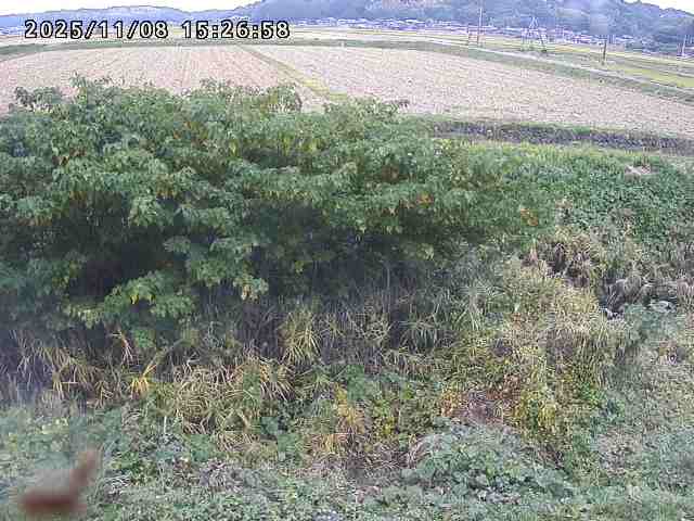 取得できませんでした