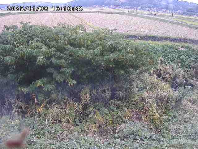 取得できませんでした