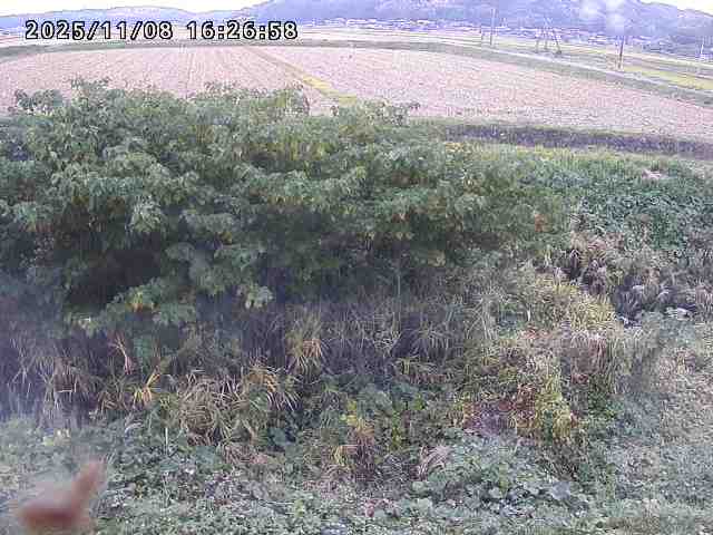 取得できませんでした