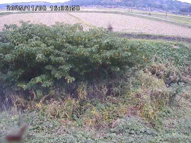 取得できませんでした