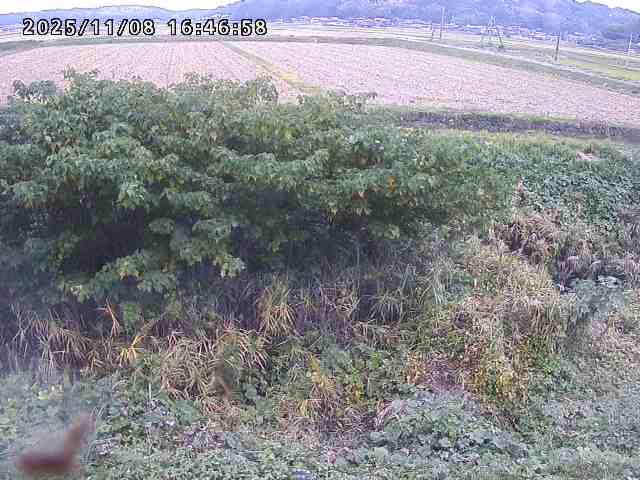 取得できませんでした