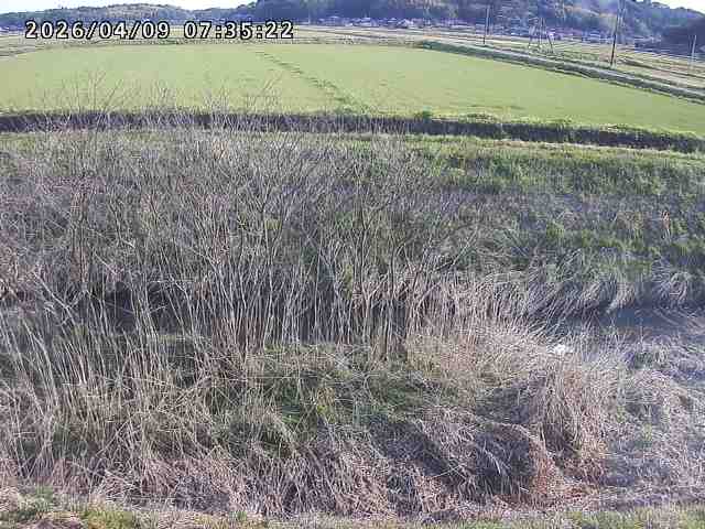 取得できませんでした