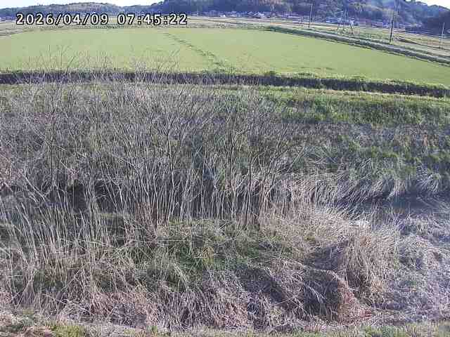 取得できませんでした