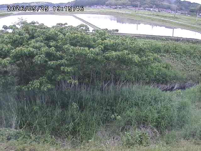 取得できませんでした