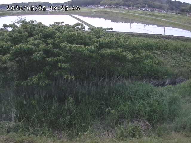 取得できませんでした