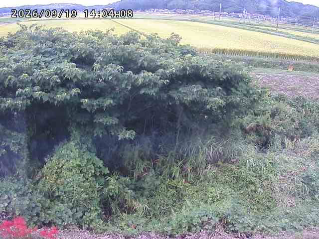 取得できませんでした