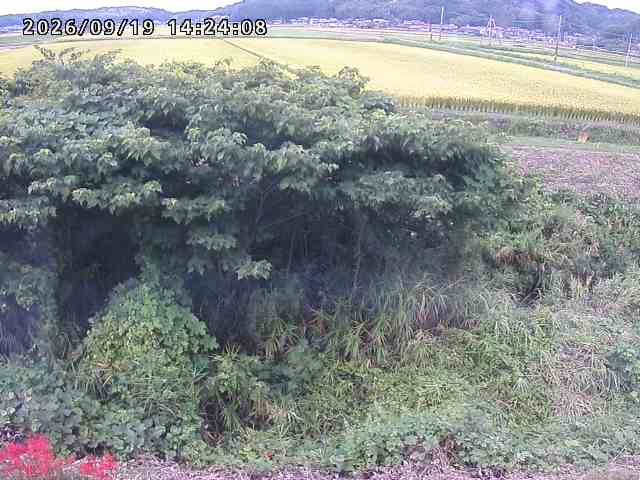 取得できませんでした