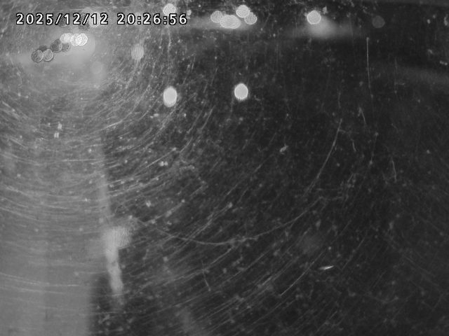 取得できませんでした