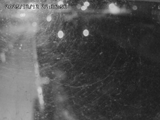 取得できませんでした