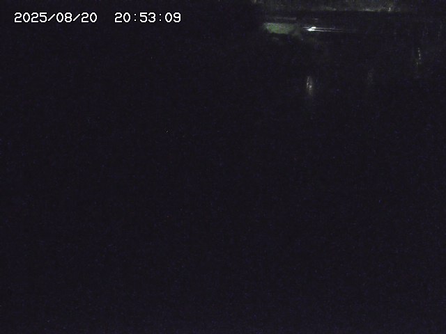 取得できませんでした