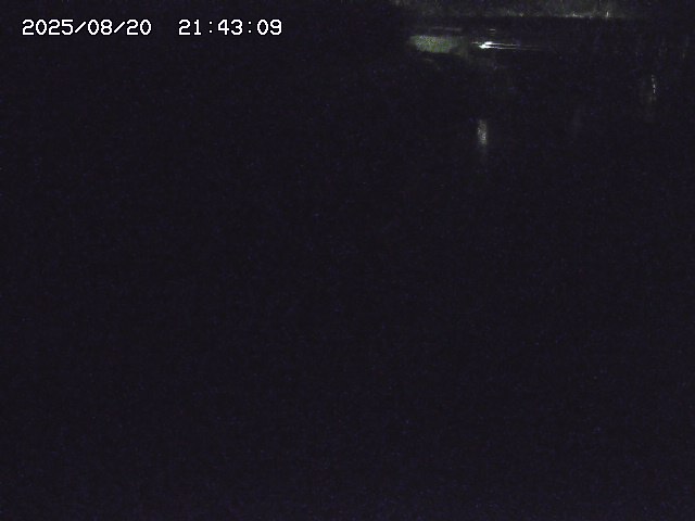 取得できませんでした