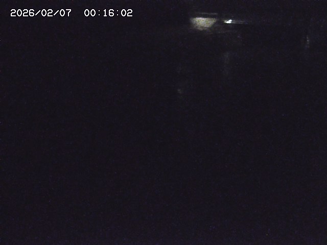 取得できませんでした