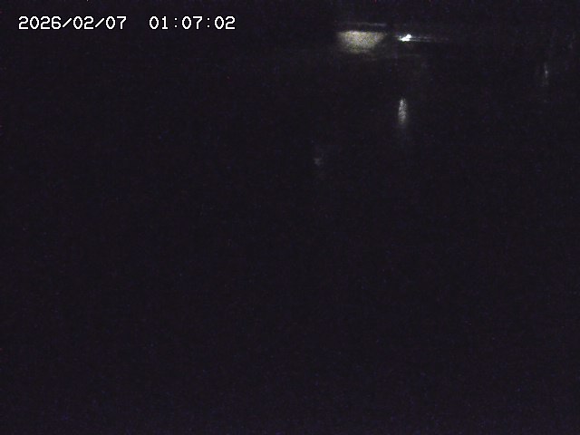 取得できませんでした