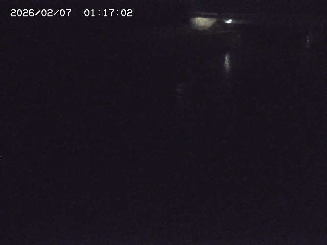 取得できませんでした