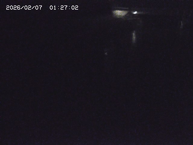 取得できませんでした