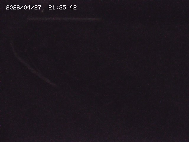 取得できませんでした