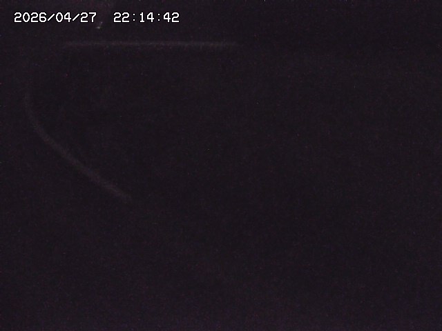 取得できませんでした