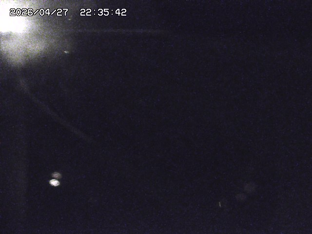 取得できませんでした