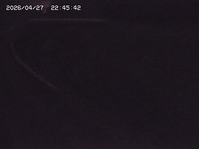 取得できませんでした