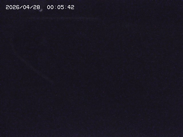 取得できませんでした