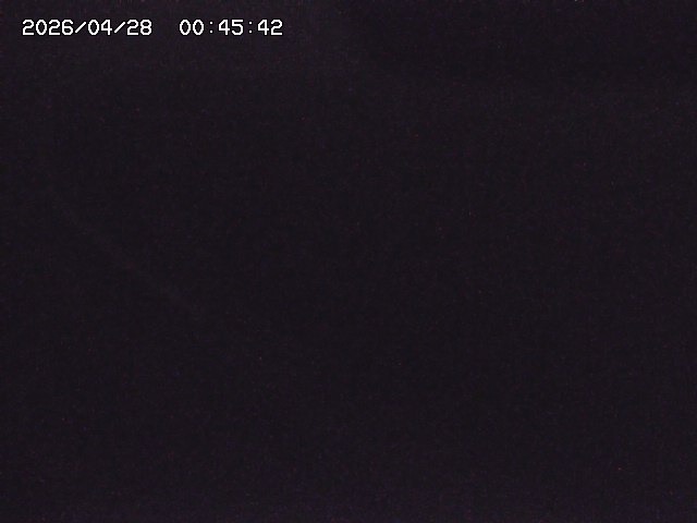 取得できませんでした