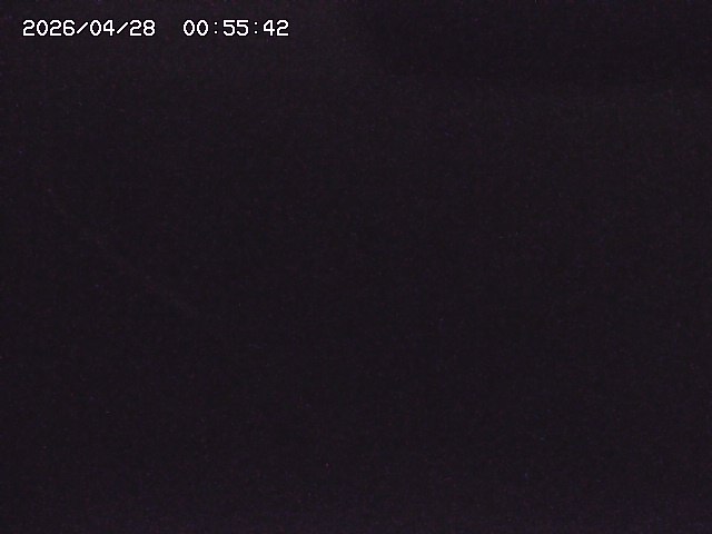 取得できませんでした