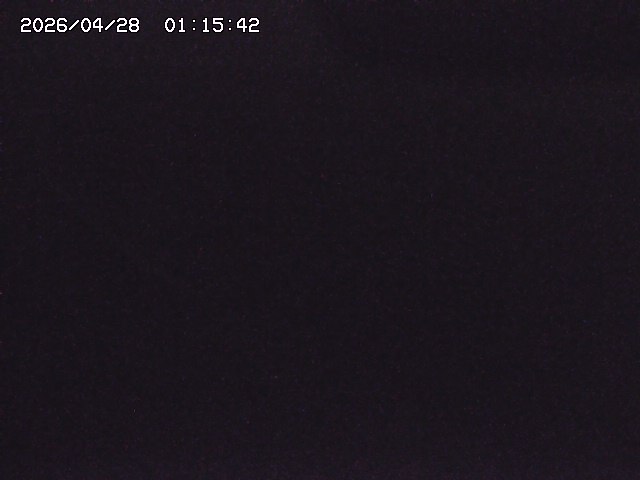 取得できませんでした