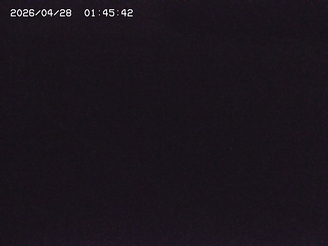 取得できませんでした