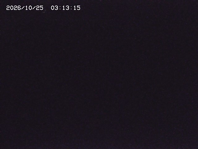 取得できませんでした