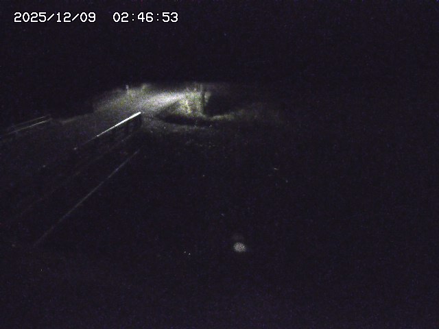 取得できませんでした