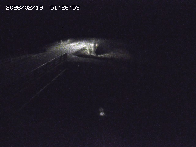 取得できませんでした