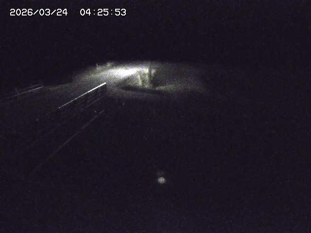 取得できませんでした