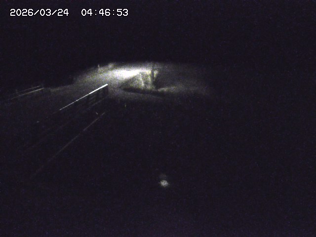 取得できませんでした