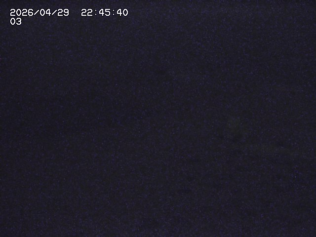 取得できませんでした