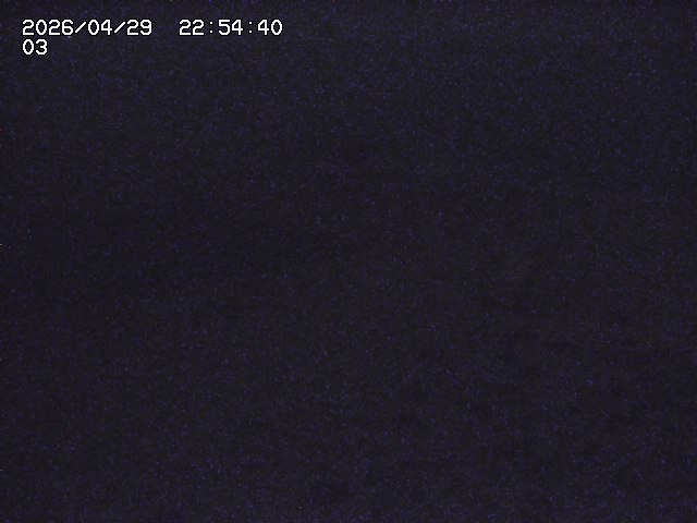 取得できませんでした