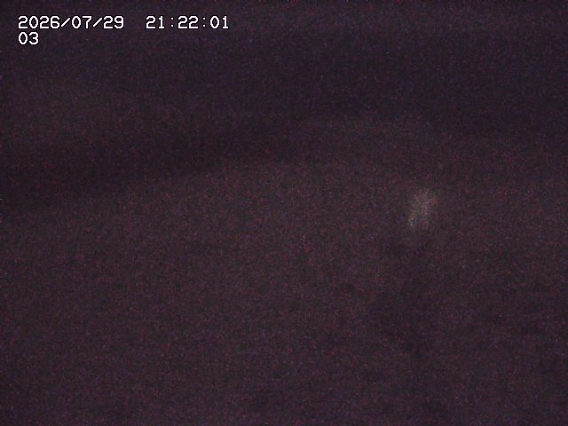 取得できませんでした