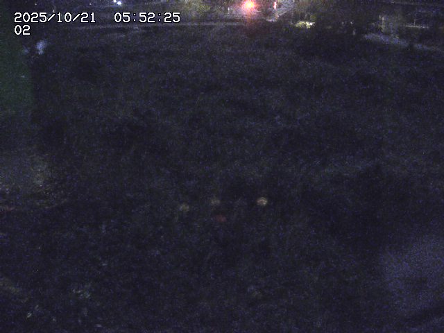 取得できませんでした