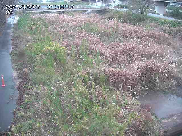 取得できませんでした