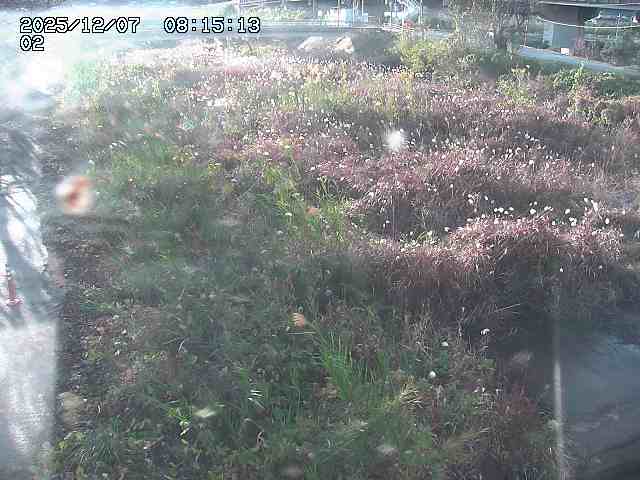 取得できませんでした