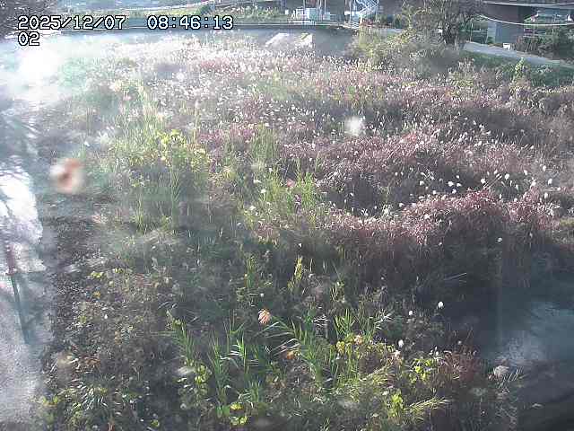 取得できませんでした