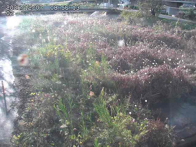 取得できませんでした