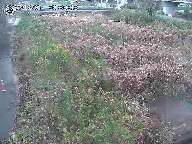 取得できませんでした