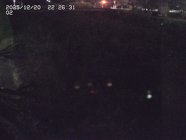 取得できませんでした